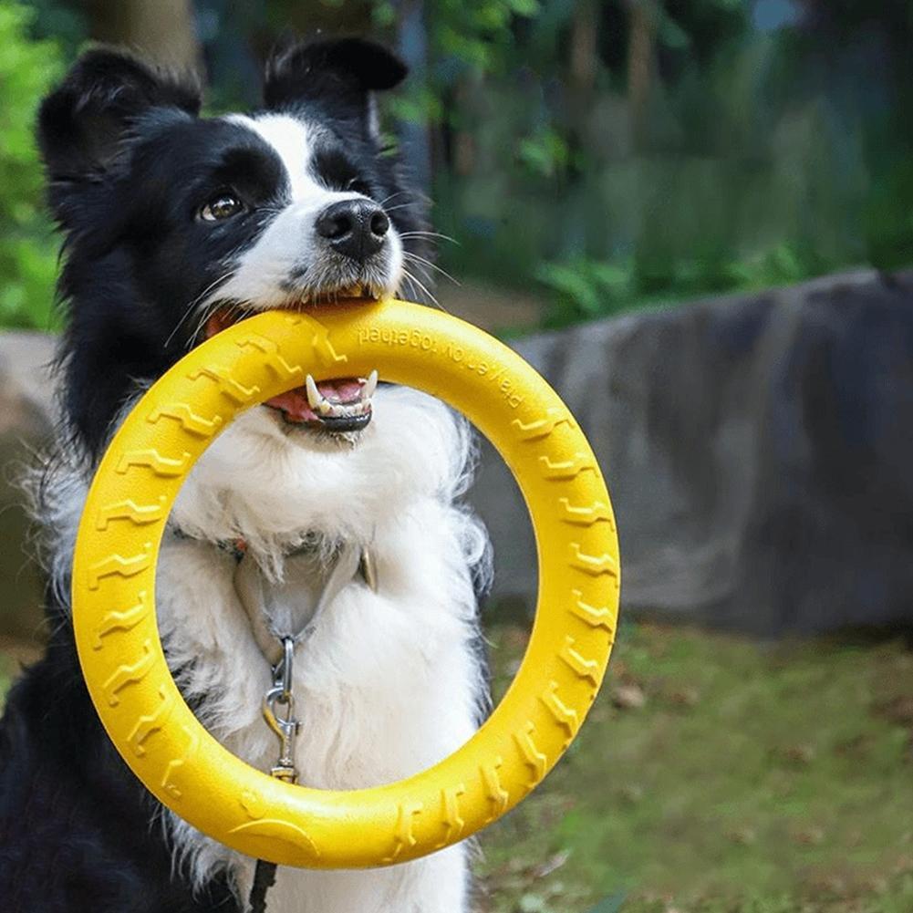 Indestructible Dog Chew Toy - Mainan Cincin Anjing, Tidak Mudah Rusak,