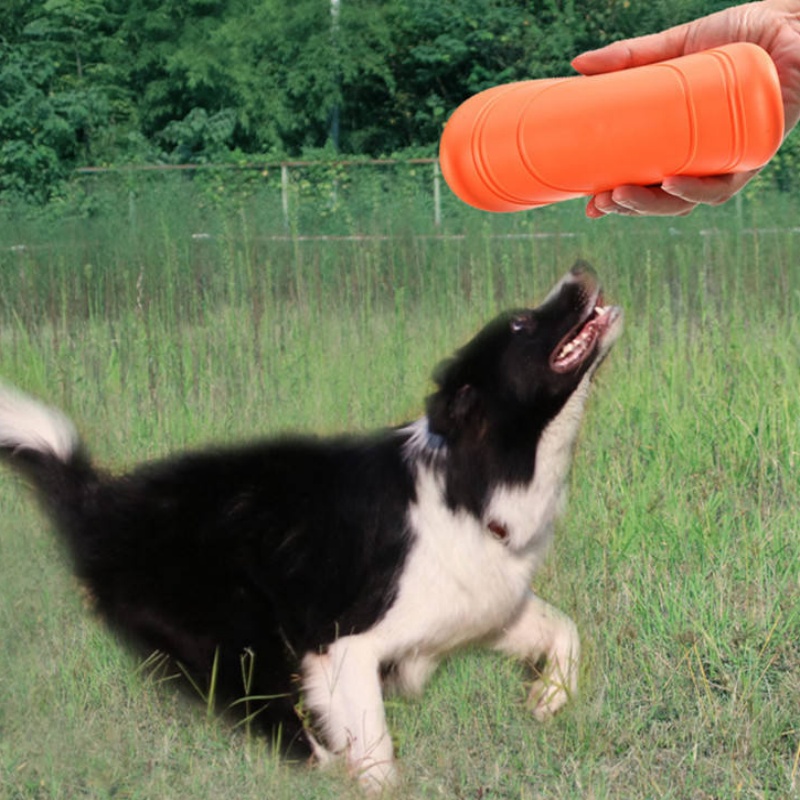 Mainan berupa cakram terbang d - Flying Disc Dog Training Toy ulasan dan harga