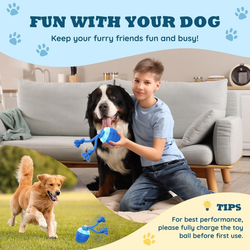 Mainan Anjing Interaktif Otoma - Automatic Moving Dog Ball ulasan dan harga