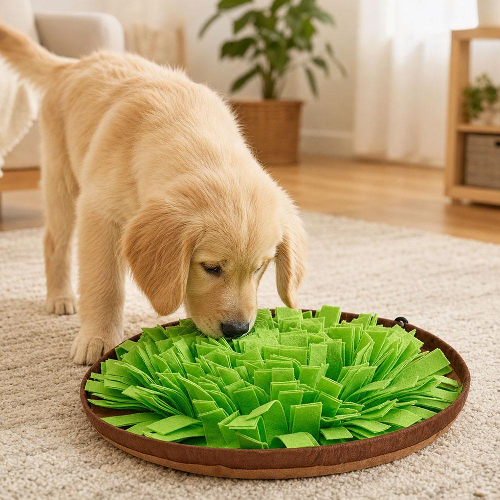 Alas Pengumpan Interaktif untu - Dog Puzzle Feeder Toy ulasan dan harga