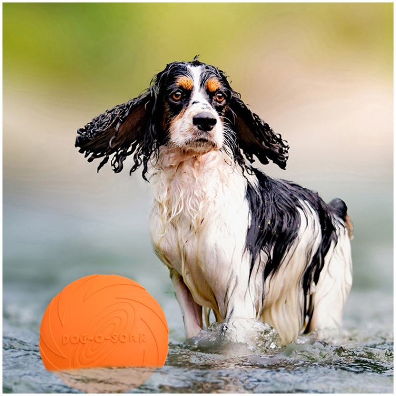 Mainan Piring Terbang Silikon  - Flying Disc Dog Training Toy ulasan dan harga