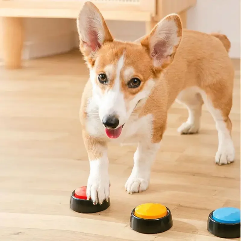 Kotak suara hewan peliharaan,  - Interactive Squeaky Plush Dog Toy ulasan dan harga
