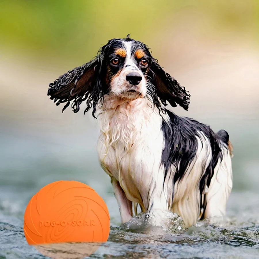Mainan Piring Terbang untuk An - Flying Disc Dog Training Toy ulasan dan harga