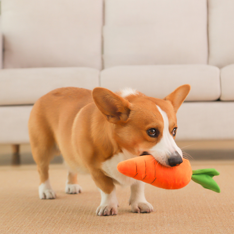 Mainan anjing HOOPET mainan bo - Indestructible Dog Chew Toy ulasan dan harga