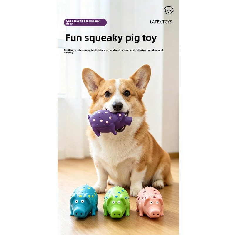Mainan Frisbee Anjing Tahan Ai - Flying Disc Dog Training Toy ulasan dan harga