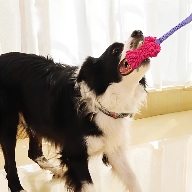 Mainan Anjing Tahan Lama untuk - Interactive Squeaky Plush Dog Toy ulasan dan harga
