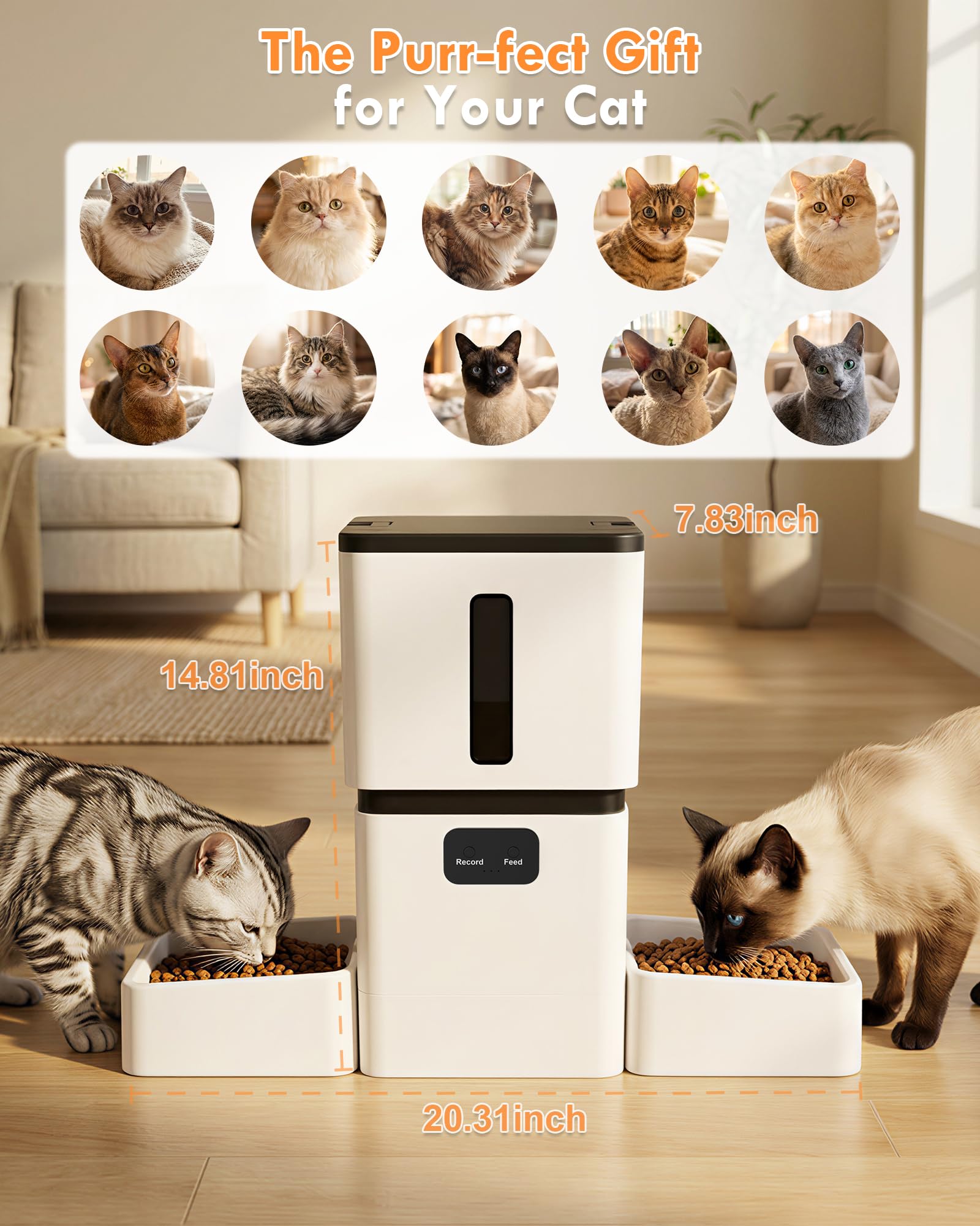Pengumpan Makanan Hewan Peliha - Pet Feeders ulasan dan harga