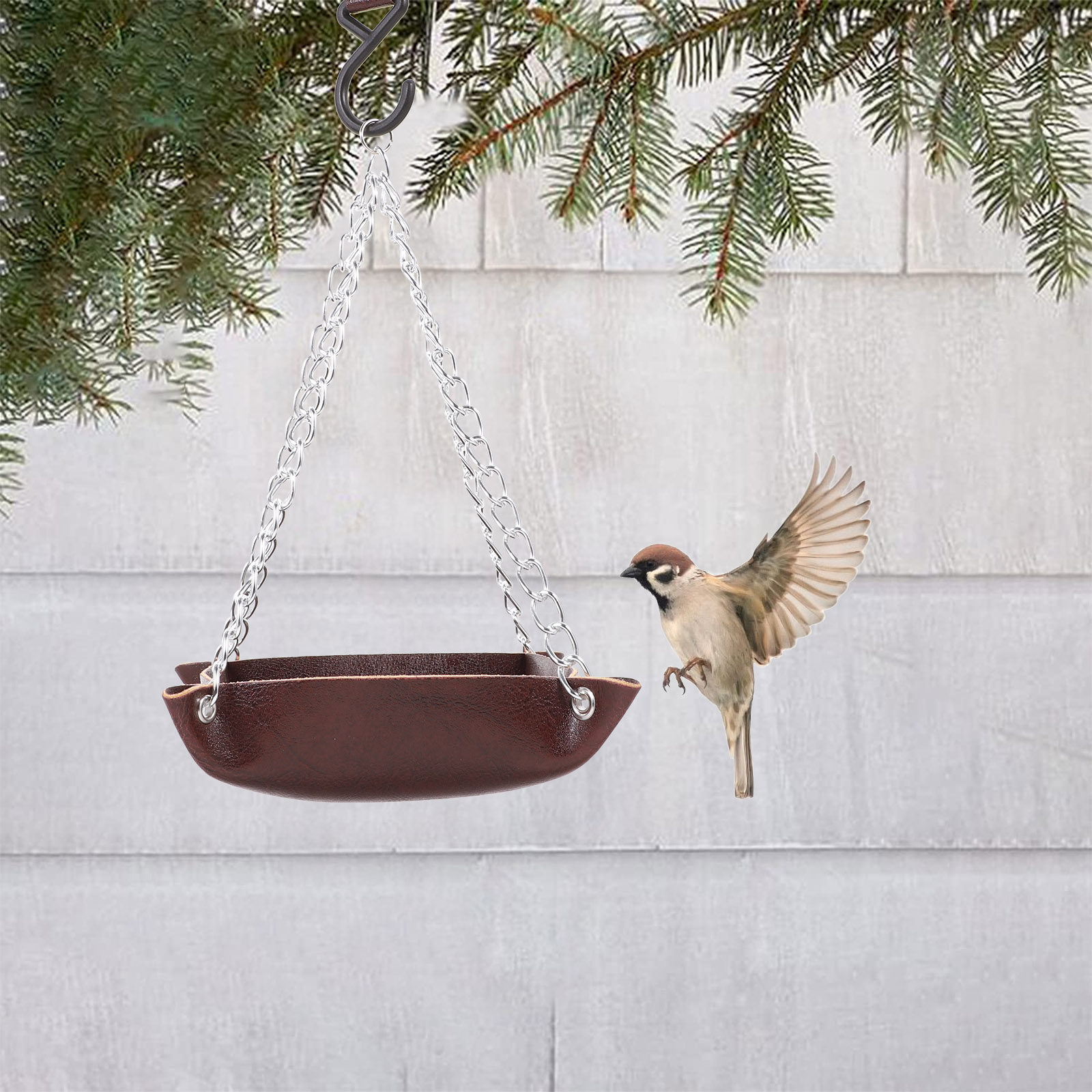 Tempat Makan Burung Transparan - Pet Feeders ulasan dan harga