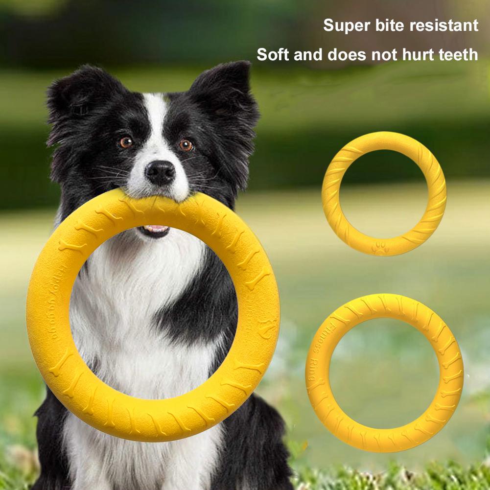Mainan Cincin Anjing, Tidak Mu - Indestructible Dog Chew Toy ulasan dan harga