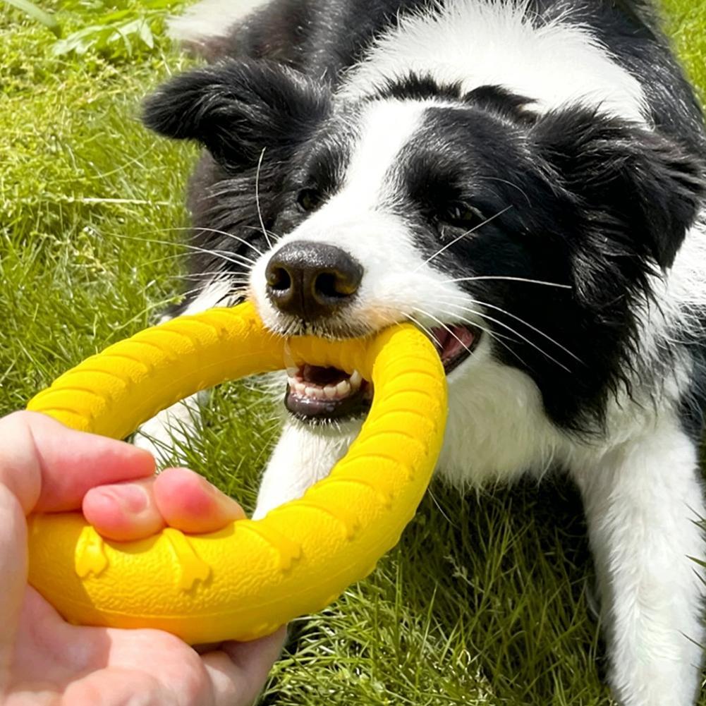 Mainan Cincin Anjing, Tidak Mu - Indestructible Dog Chew Toy ulasan dan harga